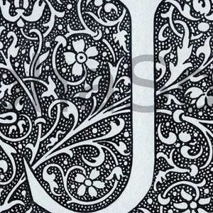 Meet your Posher, Jody